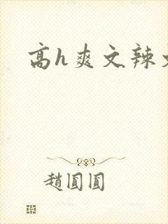 高h爽文辣文