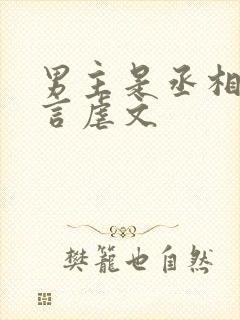 男主是丞相的古言虐文