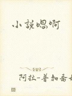 小说嗯啊