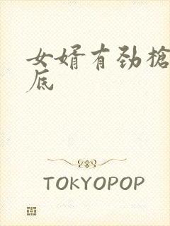 女婿有劲枪枪到底封面