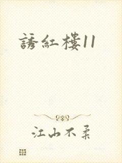 诱红楼11