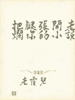 把腿张开老子臊烂你的小说