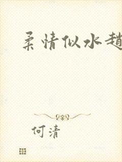 柔情似水赵雅儿封面