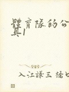 体育队的公用玩具1