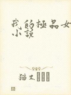 我的极品女老师小说封面