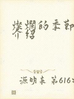 灿烂的季节剧情介绍