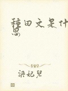 种田文是什么意思
