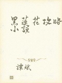 黑莲花攻略手册小说
