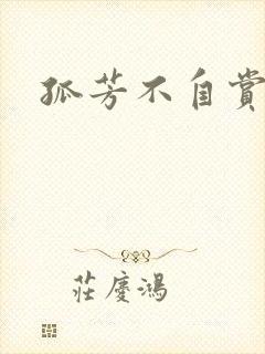 孤芳不自赏小说