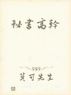 秘书高干封面