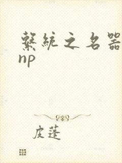 系统之名器攻略np