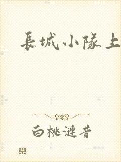 长城小队上中下封面