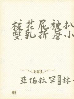 校花屁被扒电击双乳折磨小说小说封面