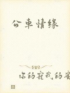 公车情缘