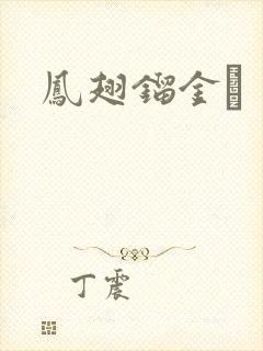 凤翅镏金镋封面