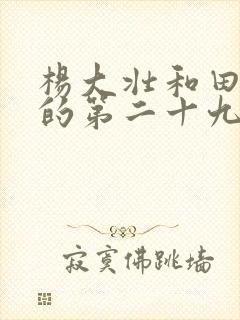 杨大壮和田桂花的第二十九封面