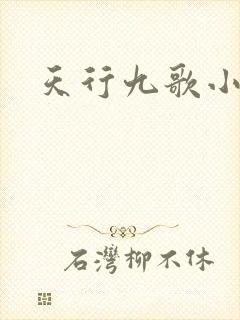 天行九歌小说