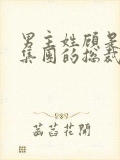 男主姓顾是顾氏集团的总裁