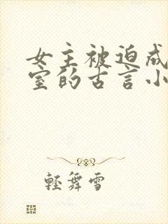 女主被迫成为妾室的古言小说