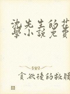 沈先生的花式教学小说免费