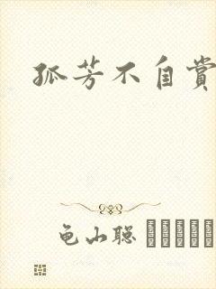 孤芳不自赏小说