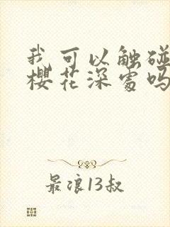 我可以触碰你的樱花深处吗