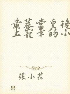 黄蓉当皇后被皇上宠幸的小说叫什么