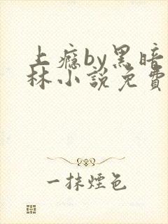 上瘾by黑暗森林小说免费