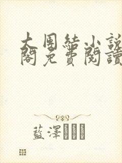 大团结小说笔趣阁免费阅读封面