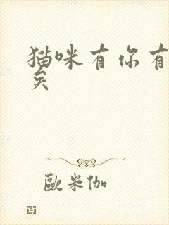 猫咪有你有我足矣