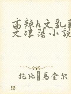 高辣h文乱乳h文浪荡小说苏瑾瑶