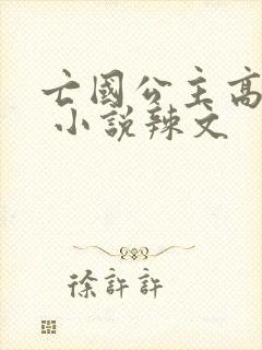 亡国公主高h文 小说辣文