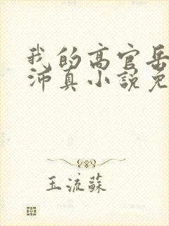 我的高官岳母苏沛真小说免费阅读