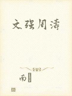 文强周涛封面