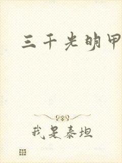 三千光明甲封面
