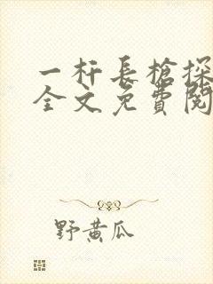 一杆长枪探幽谷全文免费阅读封面