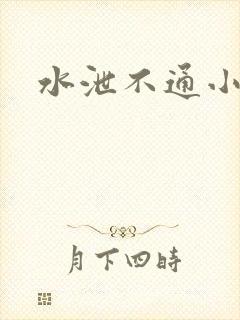 水泄不通小说