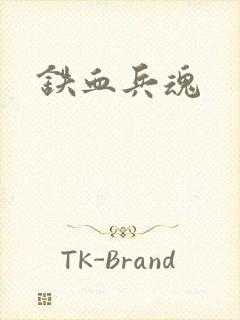 铁血兵魂封面