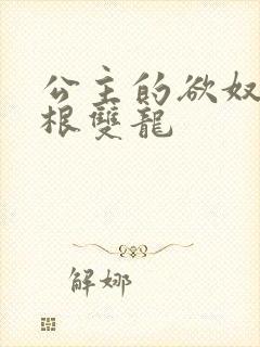 公主的欲奴h四根双龙