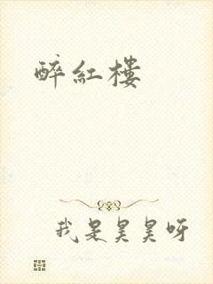 醉红楼
