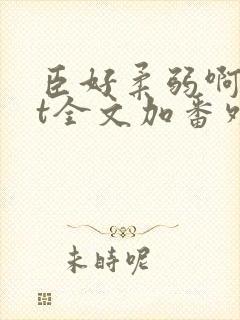 臣好柔弱啊txt全文加番外