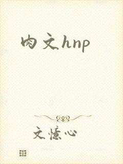 肉文hnp