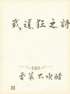 武道狂之诗封面