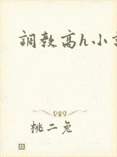 调教高h小说封面