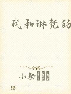 我和琳梵的故事封面