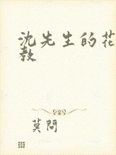 沈先生的花式调教