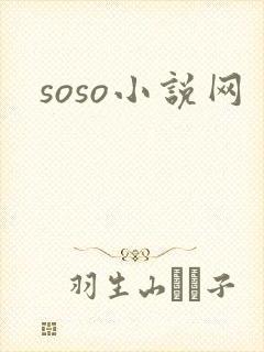 soso小说网