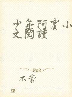 少年阿宾小说全文阅读