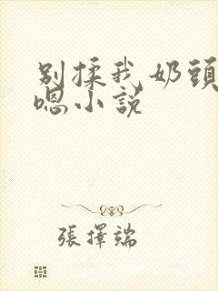 别揉我奶头啊嗯嗯小说