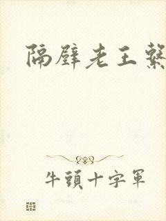 隔壁老王系统封面